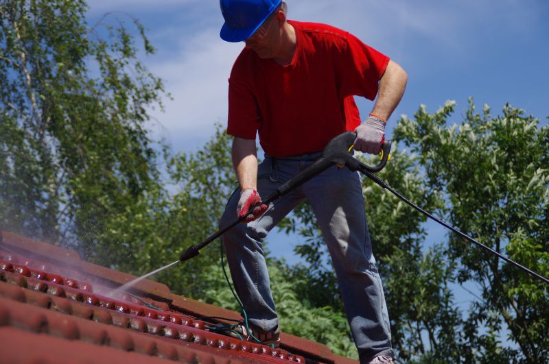Products For Roof Washings in use
