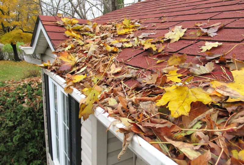 Roof Maintenance in Fall